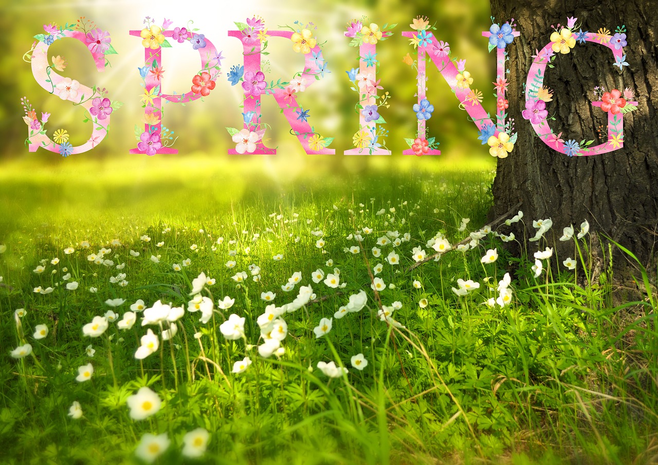 How to prepare your HVAC System for Spring